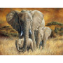 Diamond Painting - 3 Savane Elefanten