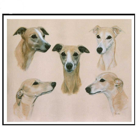 Diamond Painting 5 Whippets