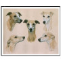 Diamond Painting 5 Whippets