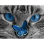 Gemälde Katze fasziniert von Delicat Papillon Bleu