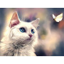 Diamond Painting  Katze blau Intensiv Saphir Augen