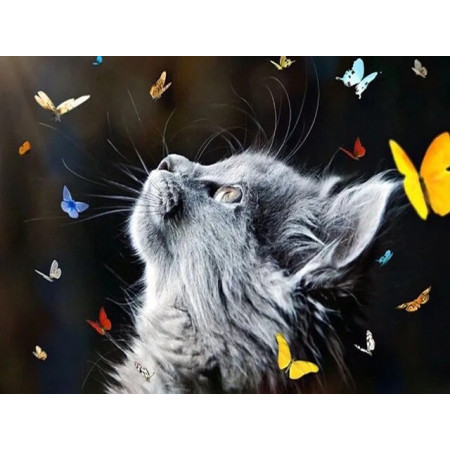 Diamond Painting Katze, verzaubert von bunten Schmetterlingen