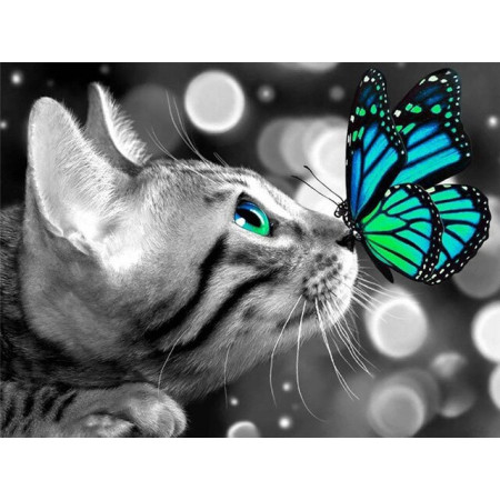 Bewundernswertes Diamond Painting mit Katze und feenhaftem Schmetterling