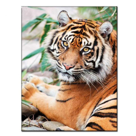 Diamond Painting Wild Tiger