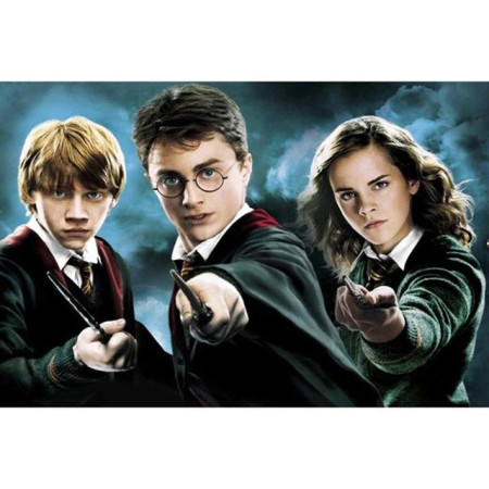 Harry Potter Diamond Painting – Legendäres Trio bereit für den Kampf