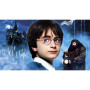 Diamond Painting  Harry Potter - Die magische Welt nimmt Leben