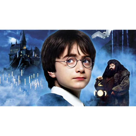 Diamond Painting  Harry Potter - Die magische Welt nimmt Leben