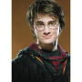 Diamond Painting Harry Potter, Elegance Witch