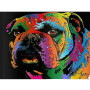Diamond Painting Bulldogge Colored
