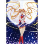 Diamond Painting - Design Anime Cosplay Serie N