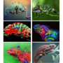 Diamond Painting 3D Caméléon E Serie