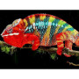 Diamond Painting 3D Caméléon E Serie