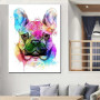 Diamond Painting Chien Bulldogge Colored