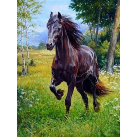 Galoppierendes Pferd-Diamond Painting