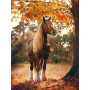 Diamond Painting Horse Forest Fall Farben heiß