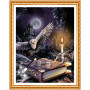 Diamond Painting Harry Potter, Magisches Wissen