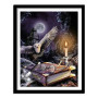 Diamond Painting Harry Potter, Magisches Wissen